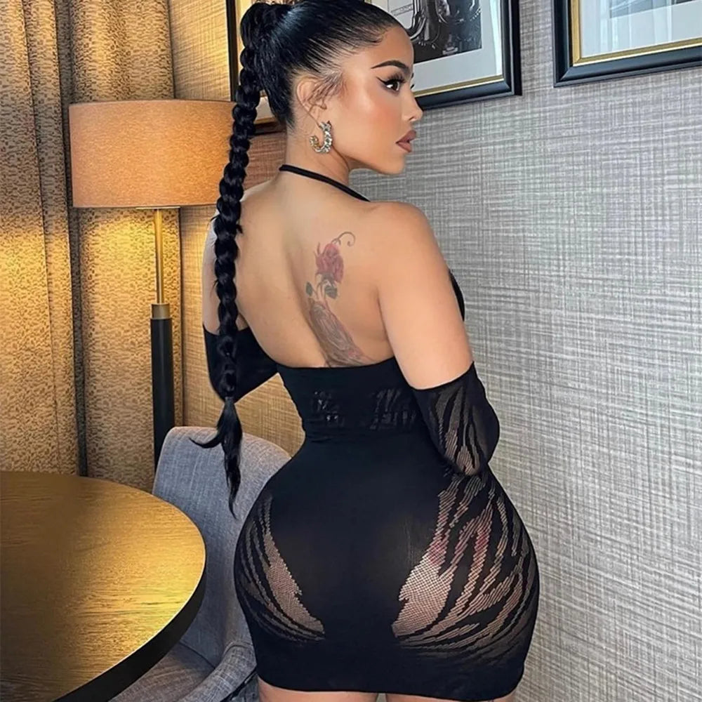 Fishnet Sexy Babydoll Slim Mini Lingerie Dress