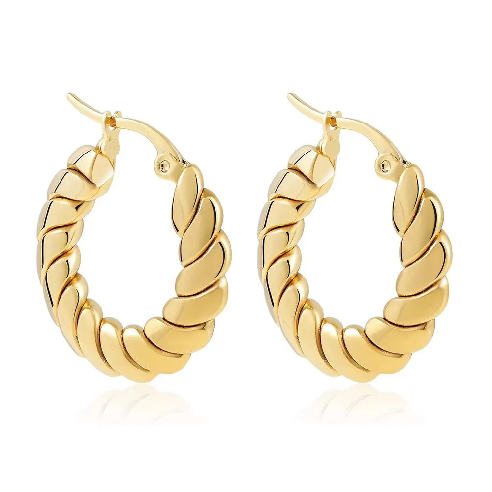 Zircon Circle Geometric U Shape Hoops Earring
