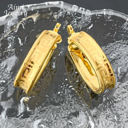 18K Gold Plated Hoop Copper Hook Drop Earrings