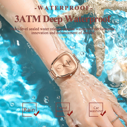 Luxury Waterproof Stainless Quartz Watche