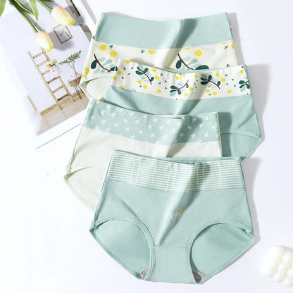 4PCS High Waist Cotton Underpants Plus Size Lingerie