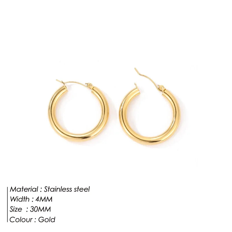 Classic Stainless Steel Ear Buckle Gold Small Large Circle Hoop Earrings