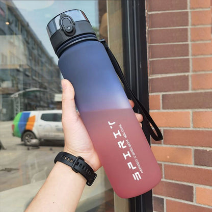 Gradient Water Bottle - 1000ml/600ml/750ml