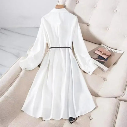 Polo Neck Single-Breasted Knee Length Dress