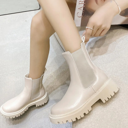 Winter Thick-soled Short Boots