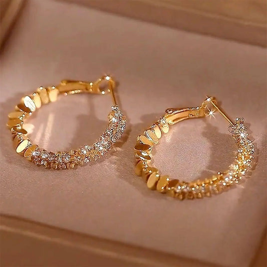 Luxury Big Round Hoop Earrings