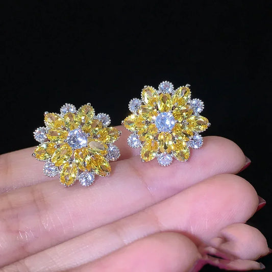 DANA Cute Big Bling Cubic Zirconia Earrings